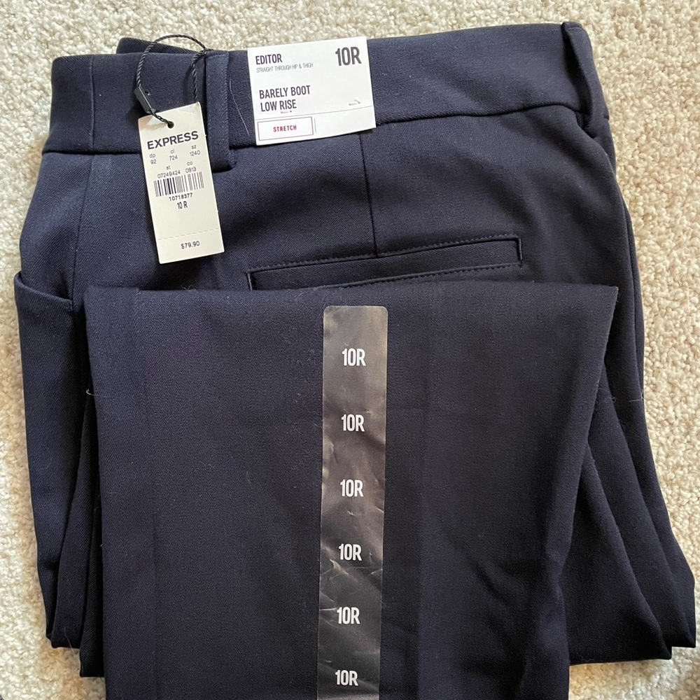 Express Navy Dress Pants 10Regular